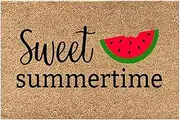 Summer Door Mat, Summer Porch Decor, Summer Doormat, Outside Decor for Porch, Entry Mats Indoor Home, Summer Indoor Outdoor Welcome Mat, Summer Doormat Welcome Floor Mat for Home (F)