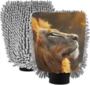 XYMZR Lion Butterfly Closeup Absorbent Microfiber Car Wash Mitt, Funny Cute Anime Scratch Free for Cars Cleaning, Home Cleaning Mitts, 2 Pack, 10.24” L x 7.09” W
