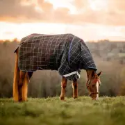Rhino Plus Reflectech Vari-Layer Turnout Blanket (250g Medium, 150g Hood)