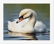 NHYDSPQ DIY Digital Painting,Cute Little Swan Print Paint by Numbers,adult Digital Oil Painting Sets,DIY Paint by Numbers for Beginners