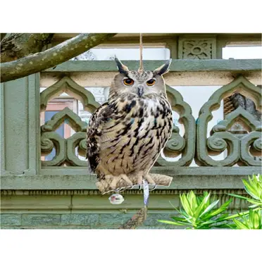 仿真驅鳥鷹老鷹貓頭鷹專用鐳射炫彩嚇鳥神器園林庭院風旋反光園林裝飾