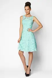 Gracie Emb Organza Cocktail Dress--VER-GRA-CEW