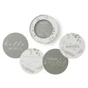 Milestone Cards - Wild Fern & Grey