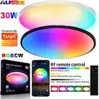 30W Smart Ceiling Light LED Downlights APP WIFI Bluetooth Dimmable Oyster Light