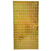 Laser Glitter Square Foil Fringe Curtain - Gold