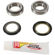 Pivot Works Steering Stem Bearing Kit Pwssk-K09-000