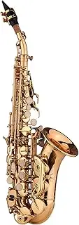 Daseeme Mini Bb Soprano Saxophone Sax Brass Material Gold Laquer Surface Woodwind Instrument with Carry Case Gloves Cleaning Cloth Brush Reeds Sax S