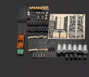 Audio Monitor Type Adjustable Multiple HiFi Preamplifier Pre-Amp DIY Kit