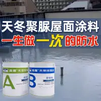 在飛比找蝦皮購物優惠-【店主推薦】聚脲外牆陽台衛生間房屋樓頂防水補漏塗料金屬腐膠材