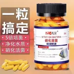 RE SPOIL FISH TANK NITRIFYING BACTERIA CAPSULE TO再寵魚缸硝化細菌膠囊去