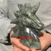 1.18LB Natural Labradorite unicorn skull quartz crystal Figurines Reiki XK1613