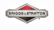 Tree Engine Original Briggs & Stratton 590537