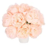 Artificial Flower Heads, Silk Peony Hydrangea Champagne Pink Faux Flowers 20Pcs