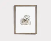[pipapa] Sleeping Emu Print Emu Wall Art Australian Nursery Art Aussie Nursery Decor Cute Sleeping Animal Print Australian Animal Print
