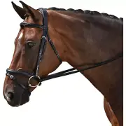 M. Toulouse M Toulouse Classic Black Dressage Bridle