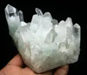 1.18lb NATURAL Green Ghost pyramid Quartz Crystal Cluster Point Mineral Specime