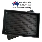 1020 Deep Insert Tray with holes Propagation Seed Plant Germination Seedling