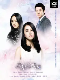 在飛比找博客來優惠-星星的眼淚 (6DVD) (又名：荊棘鳥/刺鳥)