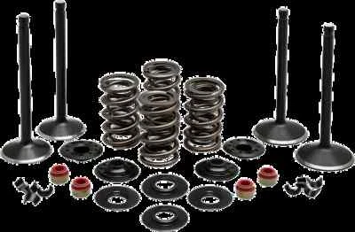 KW Complete Black Diamond Engine Valve Kit Harley Police 99-04