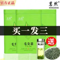 在飛比找蝦皮購物優惠-送禮好茶 伴手禮 信陽毛尖袋裝2023新茶綠茶雨前嫩芽正宗毛