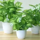Pot For Home Decor Tropical Plant Artificial Plants Turtle Back Leaf Bonsai