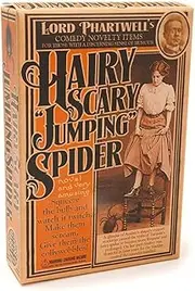 House of Marbles Hairy Scary Jumping Spider, 1 EA