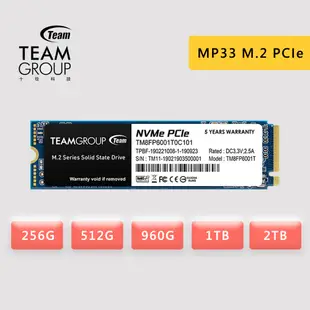 TEAM 十銓 MP33 256G 512G 960G 1TB 2TB M.2 PCIe SSD 固態硬碟