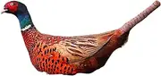 TTETTZ 3D Animal Toy Cushion for Kids Birthday Celebrations, Pheasant