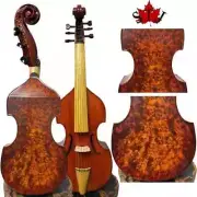SONG Brand gamba Concert bird's eye big 6 strings 18 1/2" viola da gamba#15977