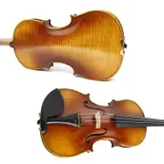 Advance 4 String Violin 4/4 Full Size Violin Kit Maple Spruce Ebony Fittings