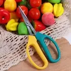 1x Pruning Shears Grape Scissors Trim Trees Snips Branch Garden Secateurs Tool'