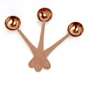 Tea Scoop (Set of 3) - Stainless Steel Measuring Spoons for Loose Leaf Tea, C...