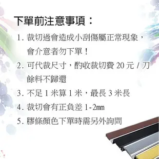 【susumy】鋁合金止滑條 膠條款 香檳 長度一米100公分 樓梯防滑條 收邊條 止滑條 地板壓條