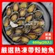 【勤饌好食】熟凍 帶殼 鮑魚 20入(毛重1000g淨重600g±10%/20入/包)冷凍 九孔 盤鮑 A6C3