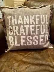 Mud Pie Thankful Grateful and Blessed Throw Pillow 18"