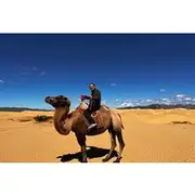 Save 5.45%! From Ulaanbaatar Central Mongolia Guided 3 Day Tour