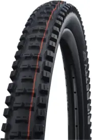 Schwalbe Big Betty Tire 29x2.6TubelessFoldingEvo LineAddix SoftSuper Trail