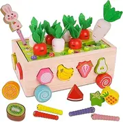 Montessori Toys for Toddlers,Wooden Learning Education Toys，Sensory Toys with Carrots Harvest Game & Shape Sorting,Baby Toys for 1 2 3 4 Year Old，Gifts for Boys Girls