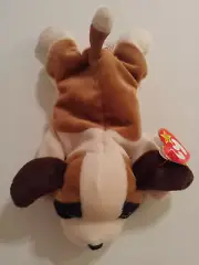 TY Beanie Babies Bernie 1996 RARE/RETIRED/TAG ERROR