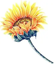 DOTUIARG 50cm(19.7inch) Sunflower Bouquet Hand-Painted Flower Sticker for Kid's Bedroom Toilet Frige Decal Removable Decor Decals