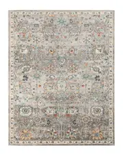 Amer Rugs Bohemian Multi-Purpose Transitional Rug