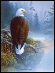 Eagle in the Mist - Chart Counted Cross Stitch Patterns Needlework DMC Color
