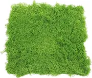 BESPORTBLE Artificial Moss Turf Fake Moss Rug for Fairy Garden Synthetic Grass Pad Micro Landscape Accessory