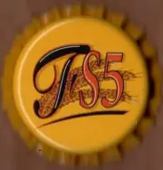 USA Plastic Lined Beer Crown Bottle Cap: Firestation Five Brewing