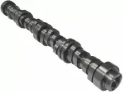 Melling Stock Camshaft fits Chevy Silverado 1500 2007-2013 71TXYN (for: Chevrolet)
