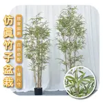 竹子 竹林 仿真植物 仿真盆栽 居家裝飾 室外植栽 室內植栽 盆栽 觀葉植物 大型盆栽 塑膠植物 假植物 假樹 竹 植物