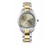 Vivienne Westwood Westwood Fenchurch Silver Dial Two Tone Strap Watch