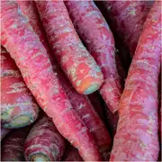 Carrot - Atomic Red seeds
