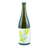 Wildflower Field Work: Wattle Blossom Australian Wild Ale 750ml Bottle