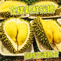 在飛比找momo購物網優惠-【台灣紅】泰國空運金枕頭榴槤20斤x1箱(3-4顆裝/20斤